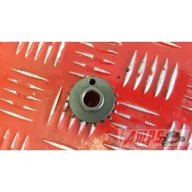 Pignon distribution moteur R1 00 - 01