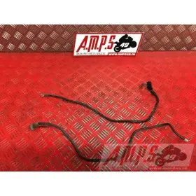 Cable de masseZX6R01BT-708-DPB3-B4355985used