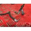 Cable de masseZX6R01BT-708-DPB3-B4355985used