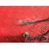 Cable de masseZX6R01BT-708-DPB3-B4355985used