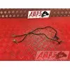 Cable de masseZX6R01BT-708-DPB3-B4355985used