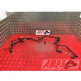 Faisceau électrique principaleZX6R01BT-708-DPB3-B4355976used