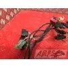 Faisceau électrique principaleZX6R01BT-708-DPB3-B4355976used