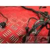 Faisceau électrique principaleZX6R01BT-708-DPB3-B4355976used