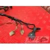 Faisceau électrique principaleZX6R01BT-708-DPB3-B4355976used