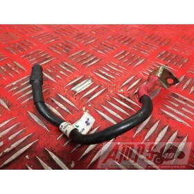 Cable de batterie Ducati 1200 Multistrada S DVT 2015 à 2017