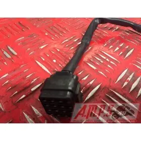 Faisceau électrique avant