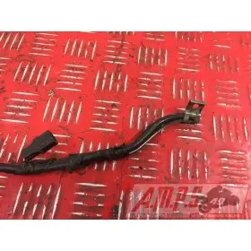 Cable de batterie Suzuki SVS 1000 2003 à 2007SVS100003FD-316-QTB1E0356751new