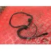 Cable de masse Suzuki SVS 1000 2003 à 2007SVS100003FD-316-QTB1E0356745new