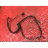 Cable de masse Suzuki SVS 1000 2003 à 2007SVS100003FD-316-QTB1E0356745new