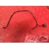 Cable de sonde de pression d'huile Honda VTR 1000 F Firestorm 1997 à 2006VTR100098EW-292-WRB5-F5356930used