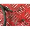 Cable de starter Ducati 620 Monster S IE 2002 à 2006620SIE03CD-927-NWH3-C0357136used