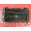Radiateur d'eauZZR60094CD-352-CQB3-B1357959used