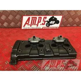 Cache culbuteurR603BV-312-SGB4-E5358418used