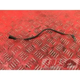 Cable de masse 2SVS05DN-169-LRB1-F2358704used