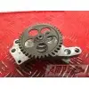 Pompe a huile Ducati HM 1100 Hypermotard 2007 à 2009110008AS-399-RYH3-C7358799used