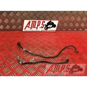Cable de masseDAYTO67507AP-349-WVH2-D6358886used