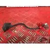 Cable de batterie Kawasaki Z750 2007 à 2012Z75007AH-170-BNB3-D5359242used