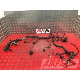 Faisceau électrique principale Kawasaki Z750 2007 à 2012Z75007AH-170-BNB3-D5359228used