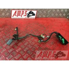 Faisceau absFJR1300003BM-577-LTB4-C0359391used