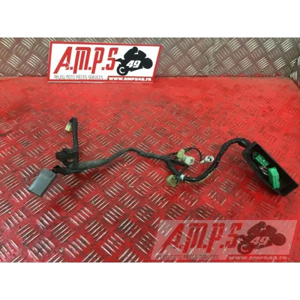 Faisceau absFJR1300003BM-577-LTB4-C0359391used