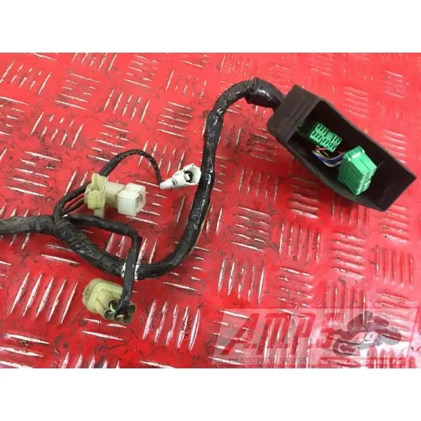 Faisceau absFJR1300003BM-577-LTB4-C0359391used