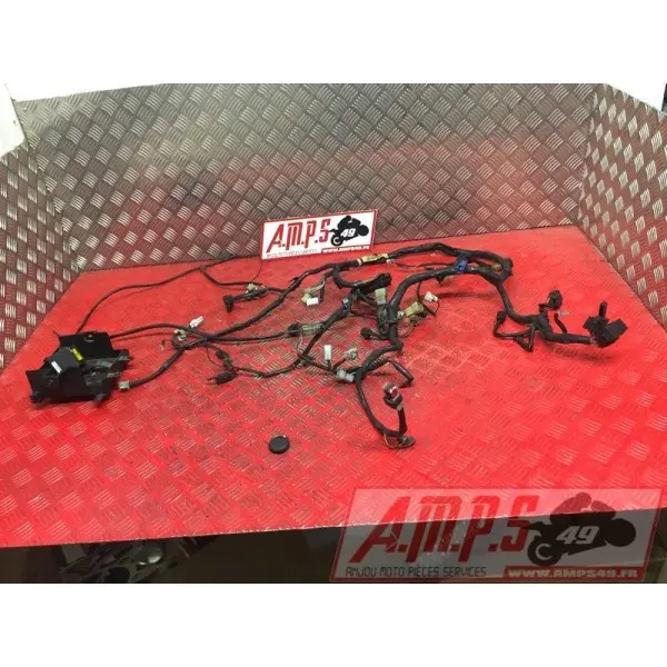 Faisceau électrique principale avec alarmeFJR1300003BM-577-LTB4-C0359384used