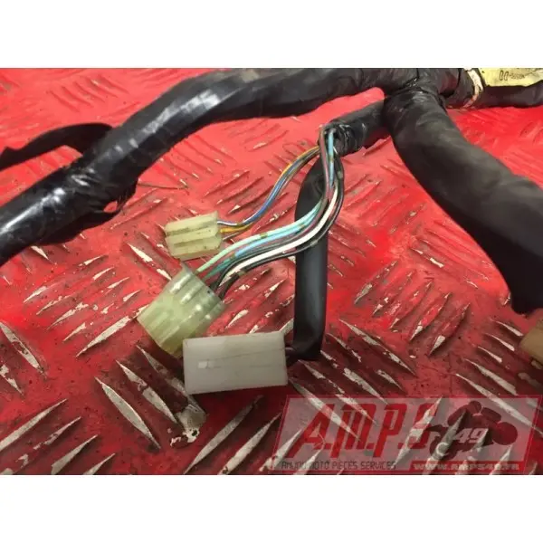 Faisceau électrique principale avec alarmeFJR1300003BM-577-LTB4-C0359384used