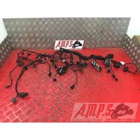 Faisceau électrique principaleSTREET66017EP-025-PBH2-A7359612used