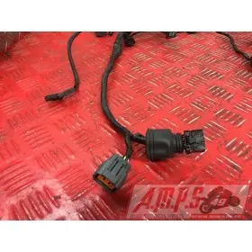 Faisceau électrique principaleSTREET66017EP-025-PBH2-A7359612used