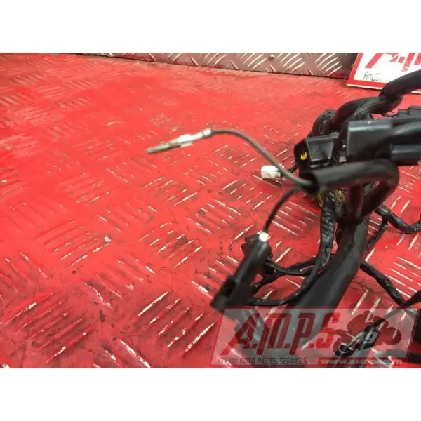 Faisceau électrique principaleSTREET66017EP-025-PBH2-A7359612used