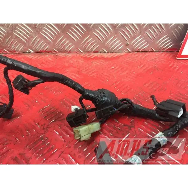 Faisceau électrique principaleSTREET66017EP-025-PBH2-A7359612used