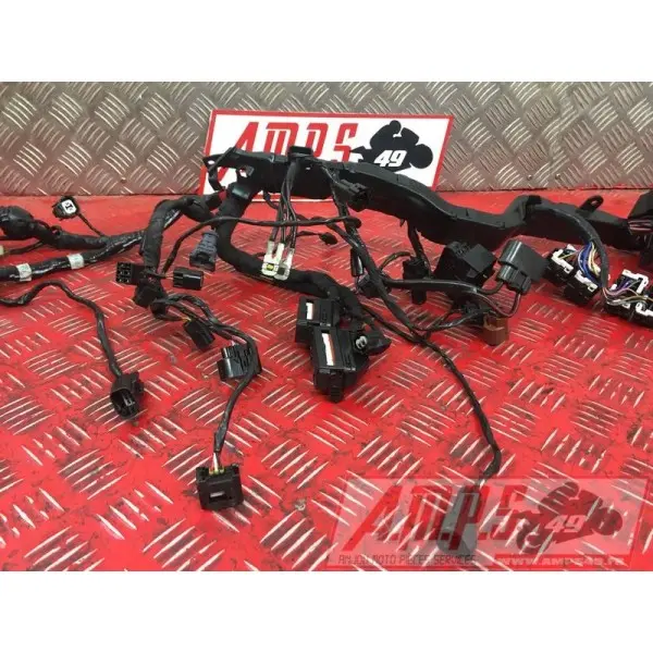 Faisceau électrique principaleSTREET66017EP-025-PBH2-A7359612used