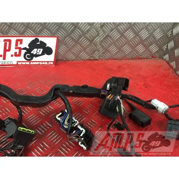 Faisceau électrique principaleSTREET66017EP-025-PBH2-A7359612used