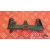 Plastique 1199 Panigale 13 14 15