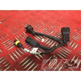 Faisceau électrique moteur Triumph Daytona 675 2013 à 2016DAYTO67514DC-392-MEH2-B6361023used