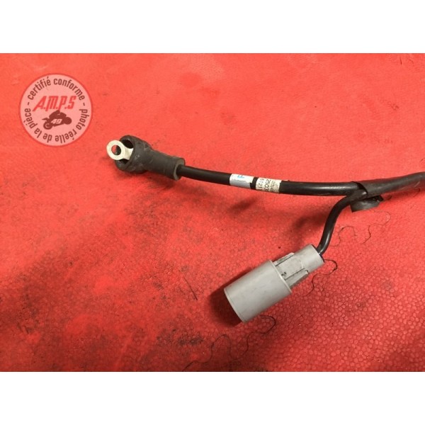 Cable de batterieTIGER1212CE-813-JFH8-F01336529used