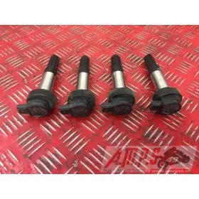 AntiparasiteS1000R17EP-972-LGH5-A5361548used