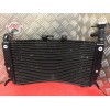 Radiateur d'eauTIGER1212CE-813-JFH8-F01336713used