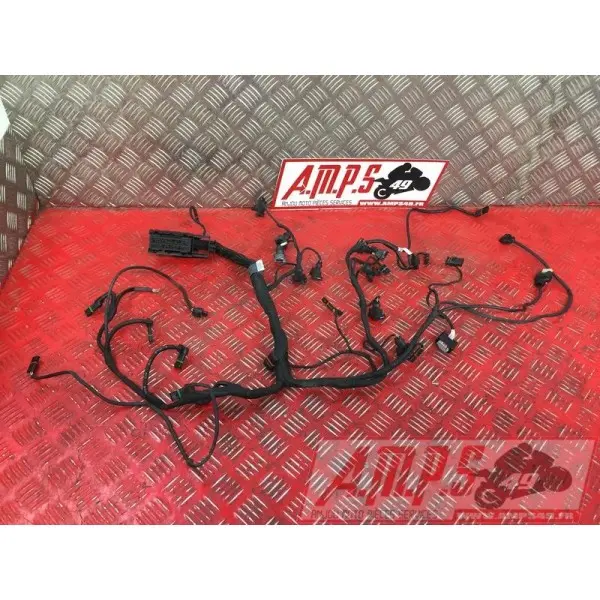 Faisceau secondaireS1000R17EP-972-LGH5-A5361550used