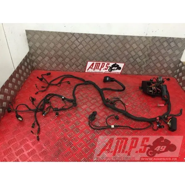 Faisceau électrique principaleS1000R17EP-972-LGH5-A5361560used