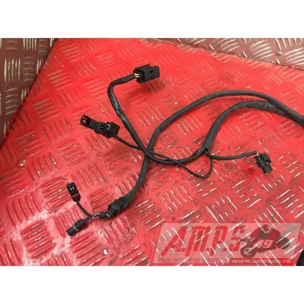 Faisceau électrique principaleS1000R17EP-972-LGH5-A5361560used