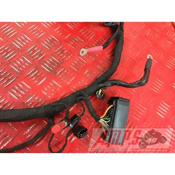 Faisceau électrique principaleS1000R17EP-972-LGH5-A5361560used