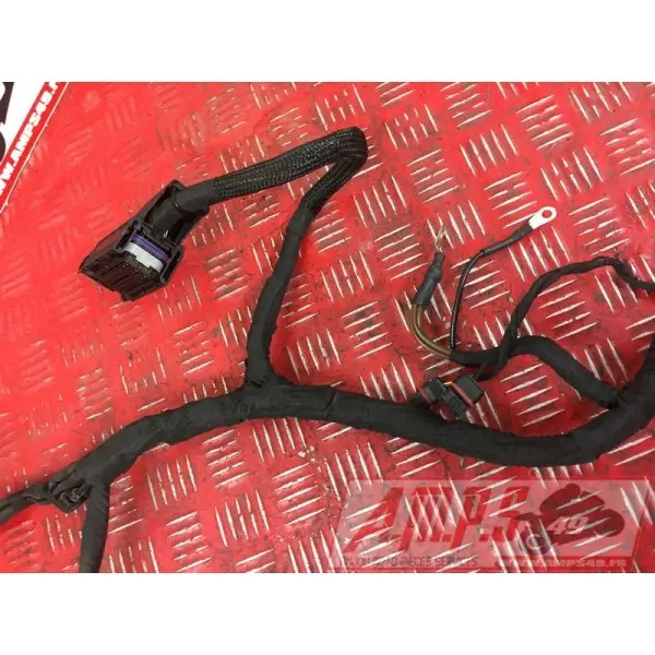 Faisceau électrique principaleS1000R17EP-972-LGH5-A5361560used