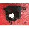 VentilateurS1000R17EP-972-LGH5-A5361546used