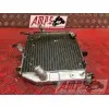 Radiateur d'eau Suzuki GSXR 1000 2003 à 2004GSXR100004DE-692-LVB1-E0361687used