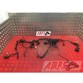 Faisceau électrique principaleNINJA40018EV-782-FN362043used