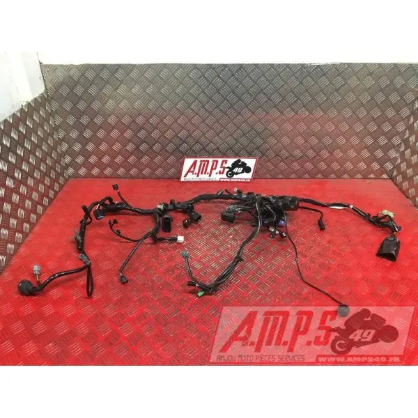 Faisceau électrique principaleNINJA40018EV-782-FN362043used