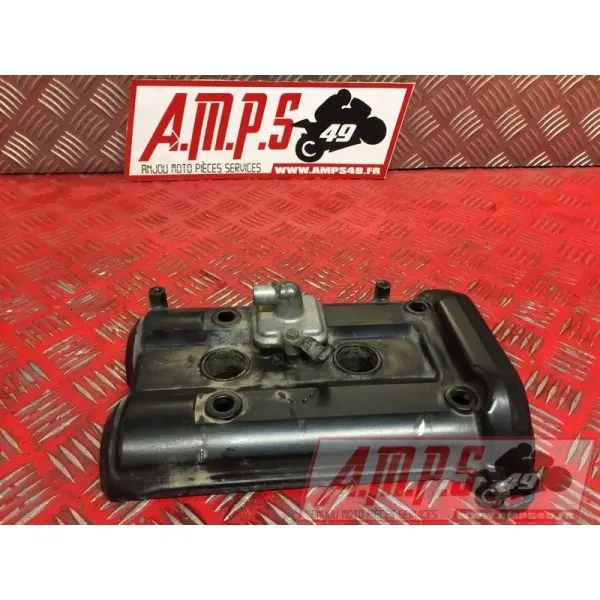 Cache culbuteurER6N15DP-320-GRB0-B4363184used