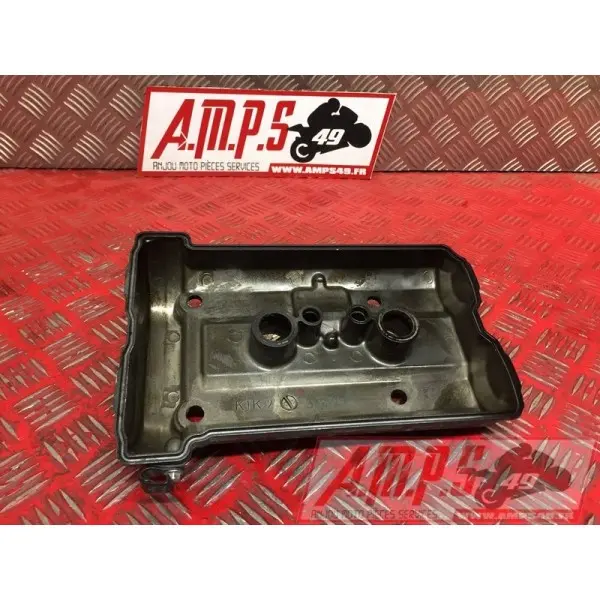 Cache culbuteurER6N15DP-320-GRB0-B4363184used